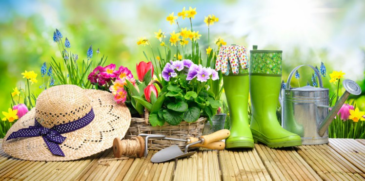 We-Rank-Jardinage (1)