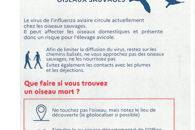 SKM_C300i23022011500