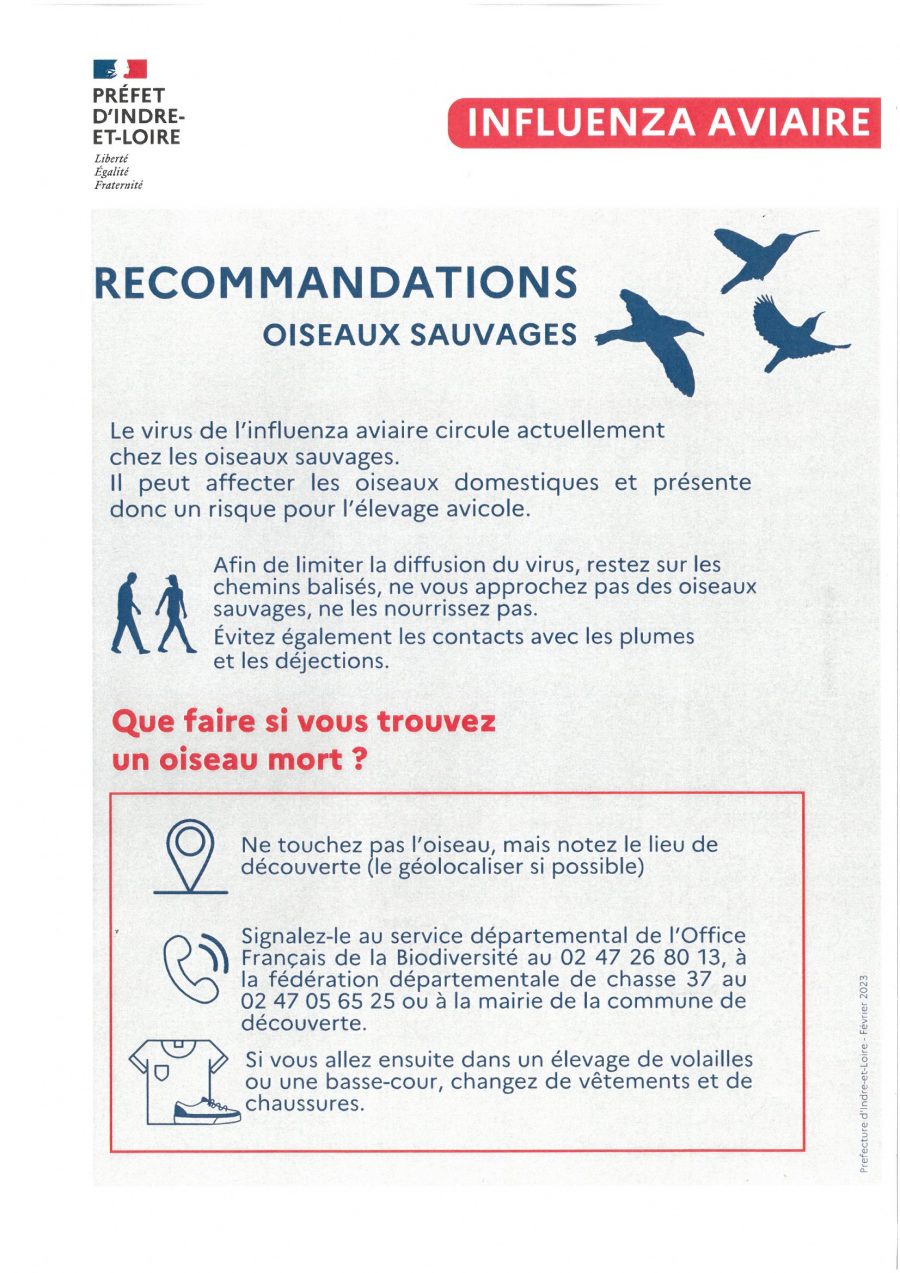 SKM_C300i23022011500