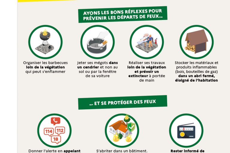 Affiches des bons réflexes