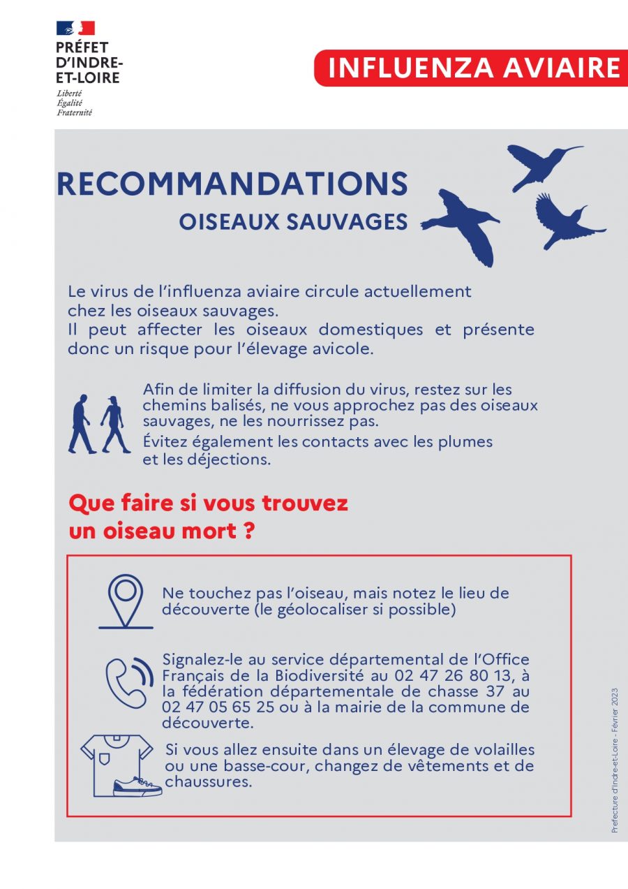 2302_reco oiseaux sauvages_page-0001