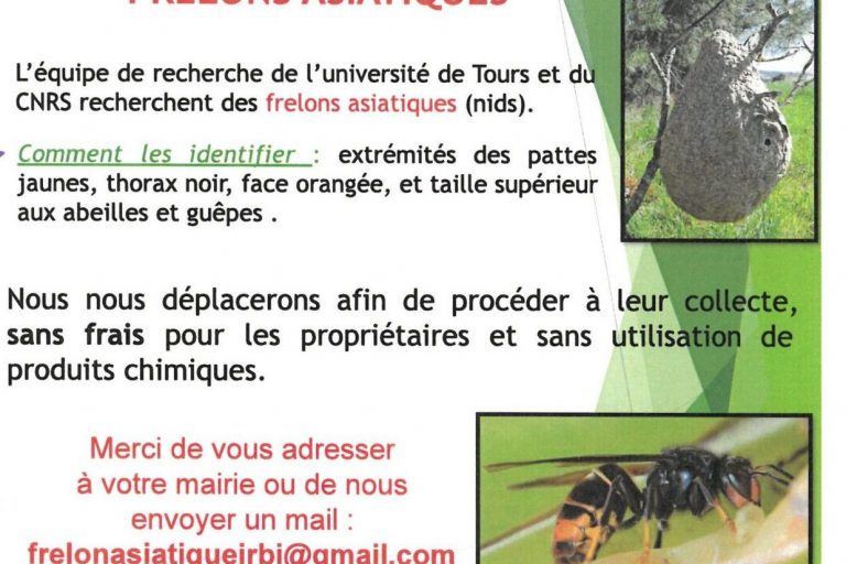 SKM_C300i24101111050