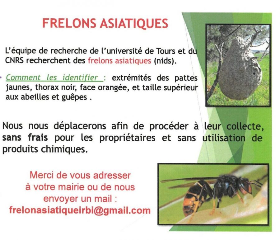 SKM_C300i24101111050