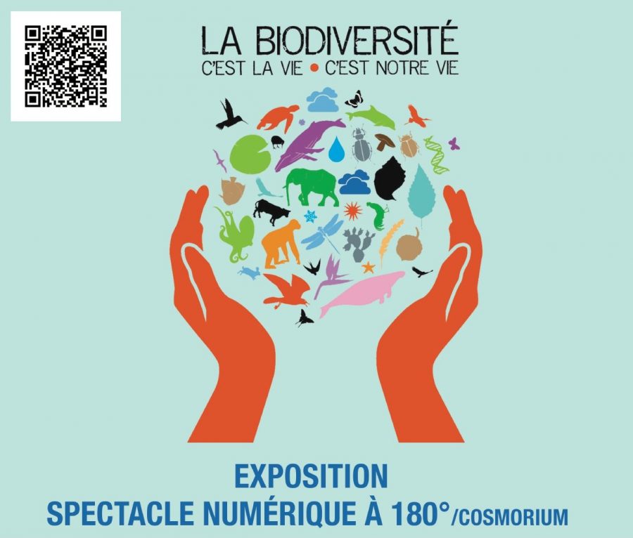 AfficheA3-Biodiv-Neuille-Pont-Pierre_page-0001